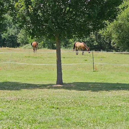 Lägenhet Du Chene Pardaillan