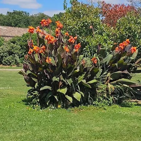 Du Chene Lägenhet *