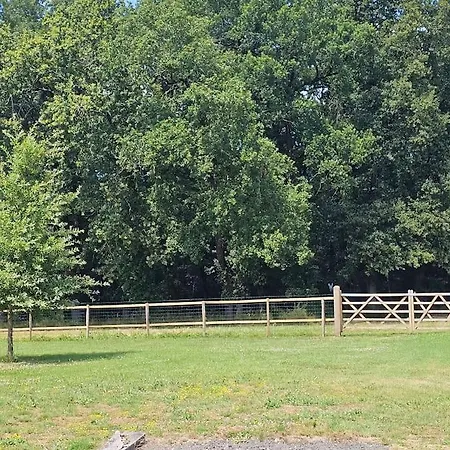 Les De - Piscine&clim - Campagne - 4 Personnes * Pardaillan