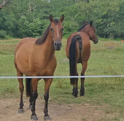 Du Chene Appartement