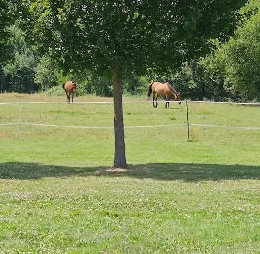 Appartement Du Chene Pardaillan