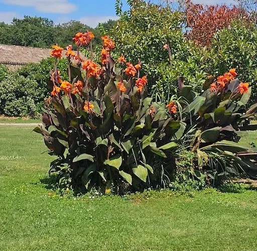 Du Chene Appartement *